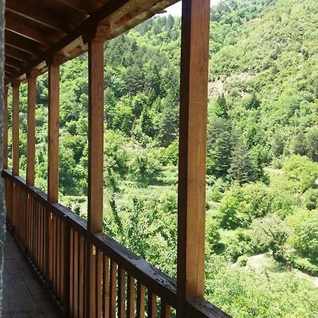 Antoniou Guesthouse Kastanitsa Luaran gambar